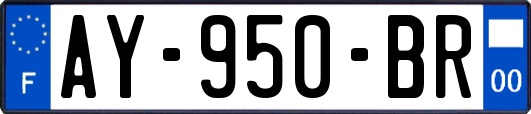 AY-950-BR
