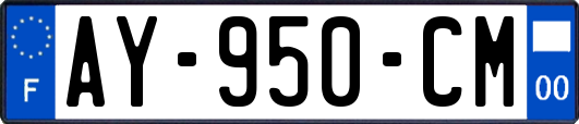 AY-950-CM