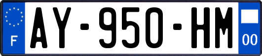AY-950-HM