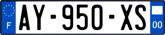 AY-950-XS