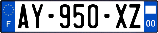 AY-950-XZ