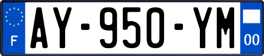 AY-950-YM