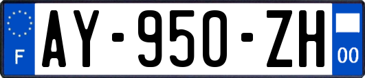 AY-950-ZH