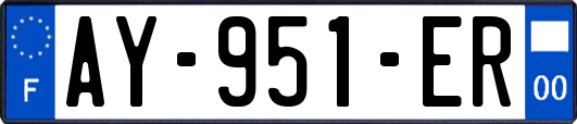AY-951-ER