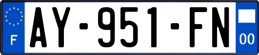 AY-951-FN