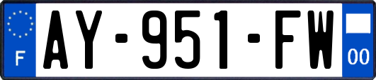AY-951-FW