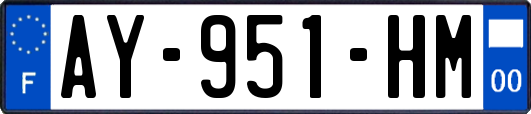 AY-951-HM