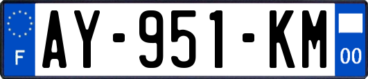 AY-951-KM