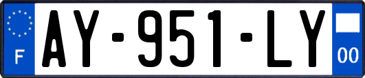 AY-951-LY