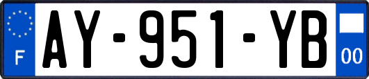 AY-951-YB