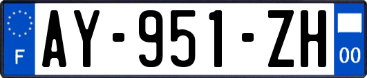 AY-951-ZH