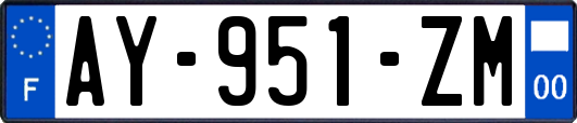AY-951-ZM
