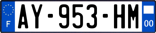AY-953-HM