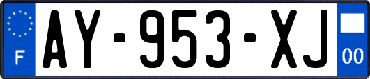 AY-953-XJ