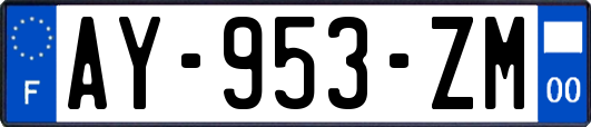 AY-953-ZM