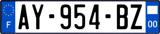 AY-954-BZ