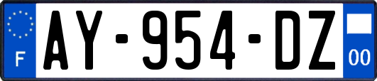 AY-954-DZ