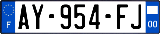 AY-954-FJ