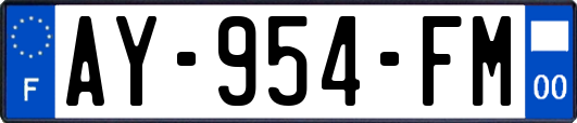 AY-954-FM