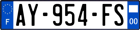 AY-954-FS