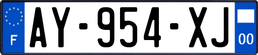 AY-954-XJ