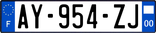 AY-954-ZJ