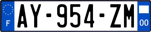 AY-954-ZM