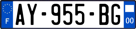 AY-955-BG