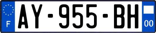 AY-955-BH