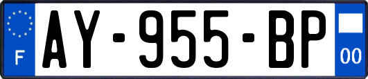 AY-955-BP
