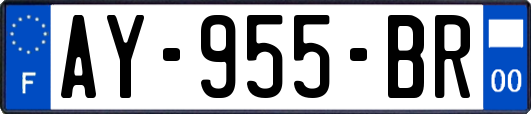 AY-955-BR