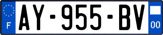 AY-955-BV
