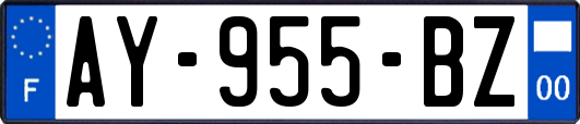 AY-955-BZ