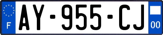 AY-955-CJ