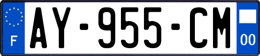AY-955-CM