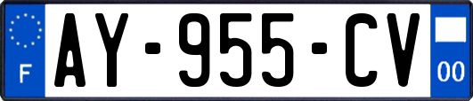 AY-955-CV