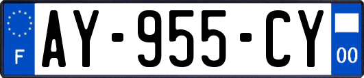 AY-955-CY