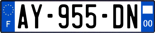 AY-955-DN