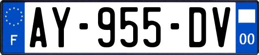 AY-955-DV