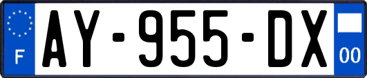 AY-955-DX