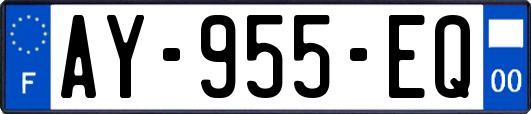 AY-955-EQ