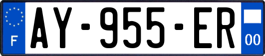 AY-955-ER