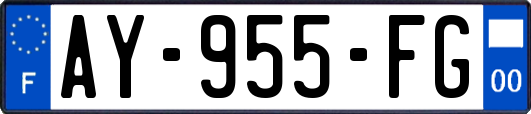 AY-955-FG