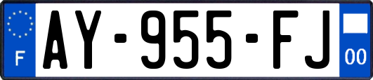 AY-955-FJ