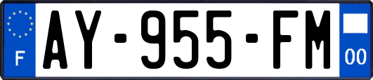 AY-955-FM