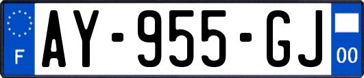 AY-955-GJ