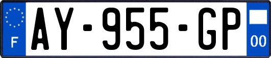 AY-955-GP