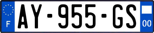 AY-955-GS