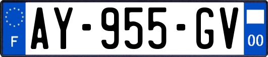 AY-955-GV