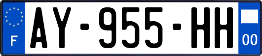 AY-955-HH